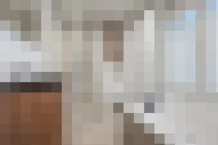 Antoon Coolenstraat 8 Helvoirt thumbnail 24