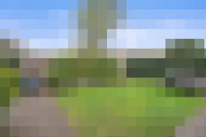 Antoon Coolenstraat 8 Helvoirt thumbnail 37