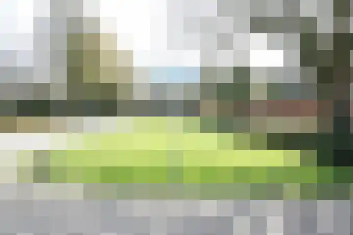 Antoon Coolenstraat 8 Helvoirt thumbnail 45