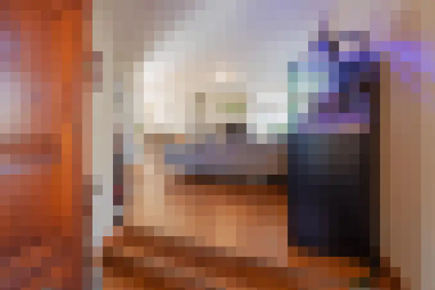 Antoon Coolenstraat 8 Raamsdonksveer thumbnail 20