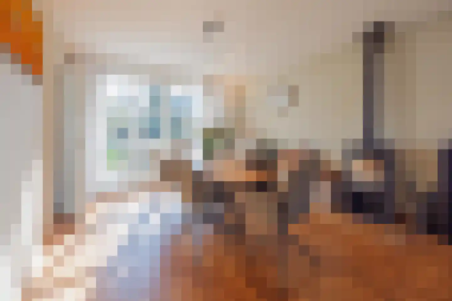 Antoon Coolenstraat 8 Raamsdonksveer thumbnail 21