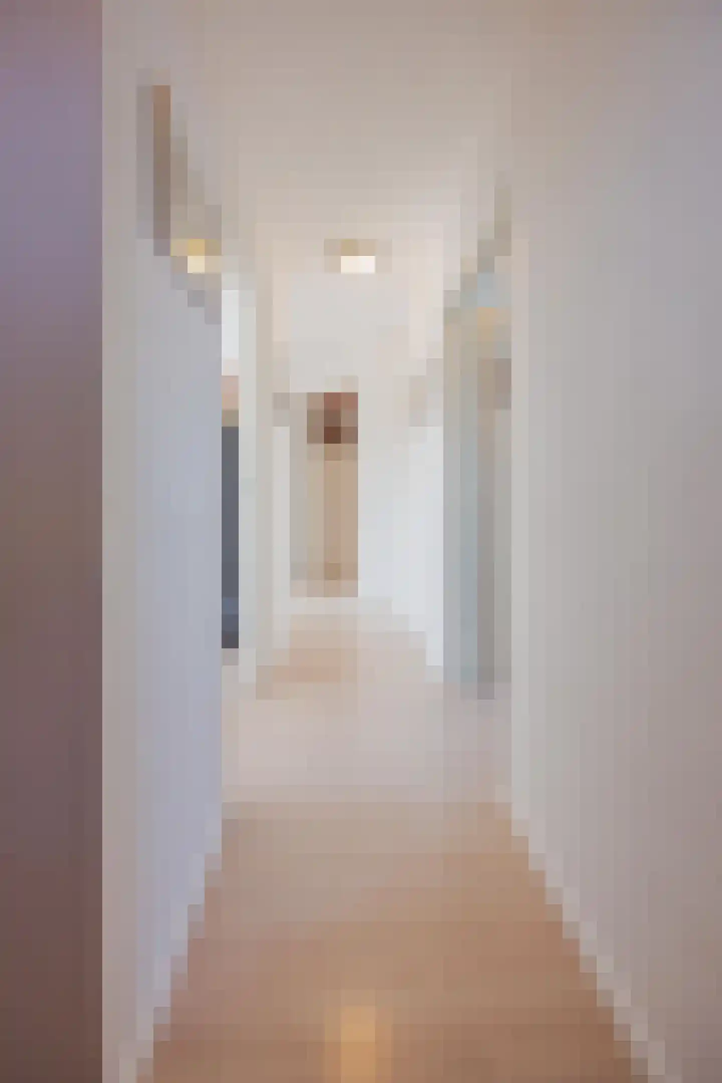 Antoon Coolenstraat 8 Raamsdonksveer thumbnail 32