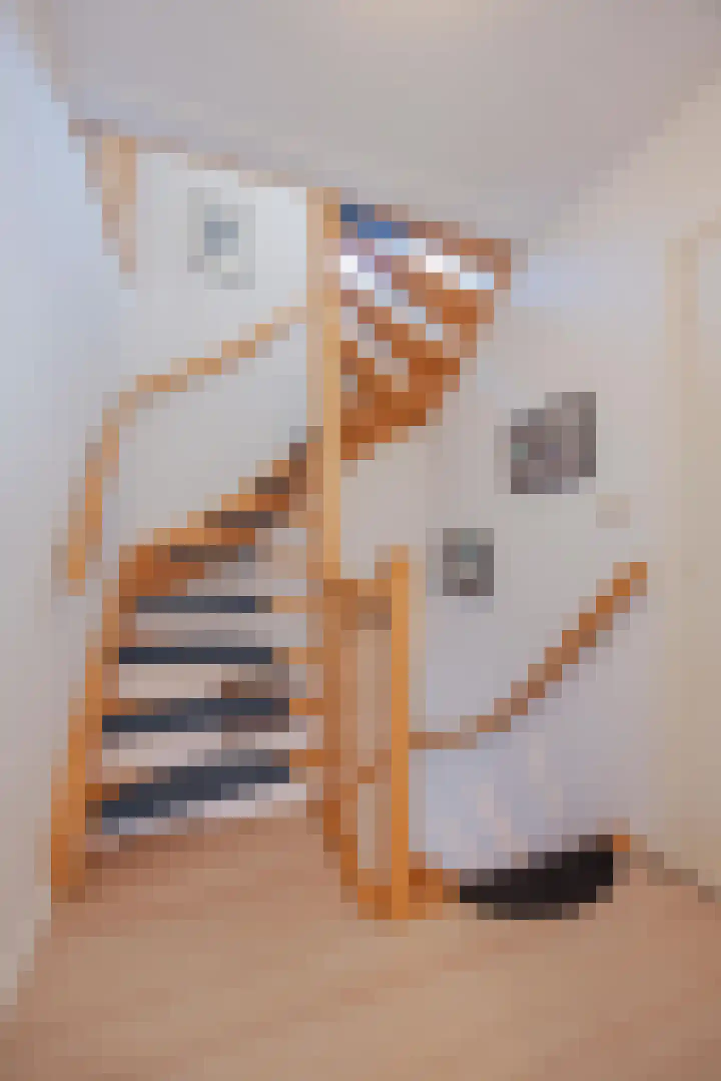Antoon Coolenstraat 8 Raamsdonksveer thumbnail 33