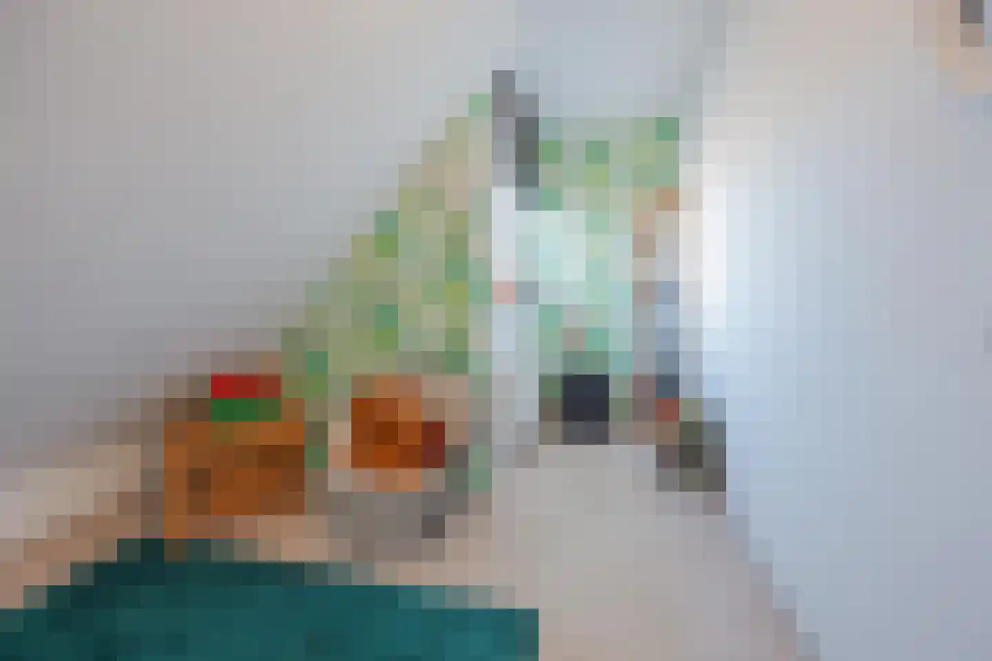 Antoon Coolenstraat 8 Raamsdonksveer thumbnail 37