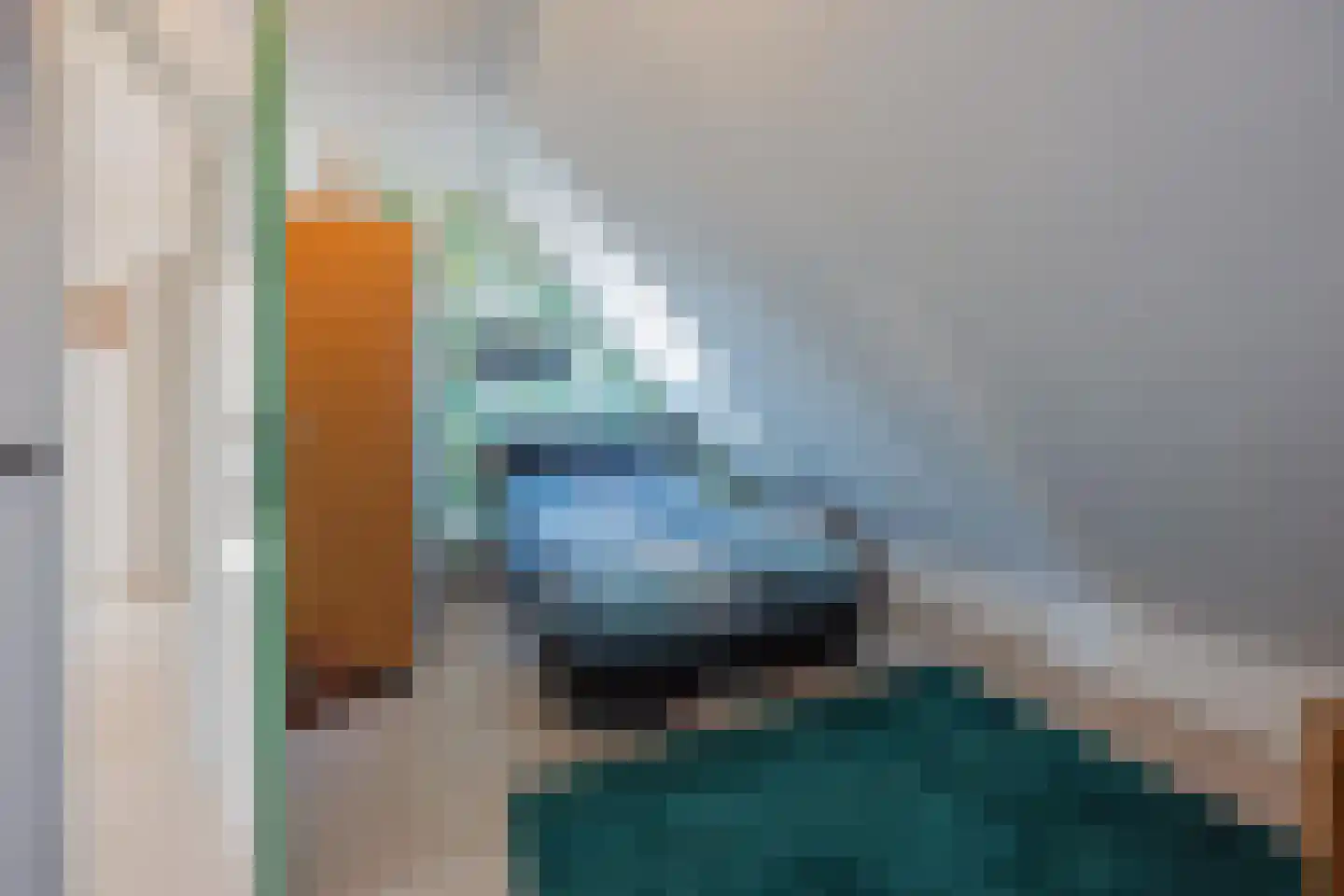 Antoon Coolenstraat 8 Raamsdonksveer thumbnail 38