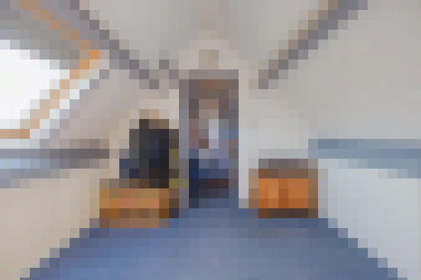 Antoon Coolenstraat 8 Raamsdonksveer thumbnail 47