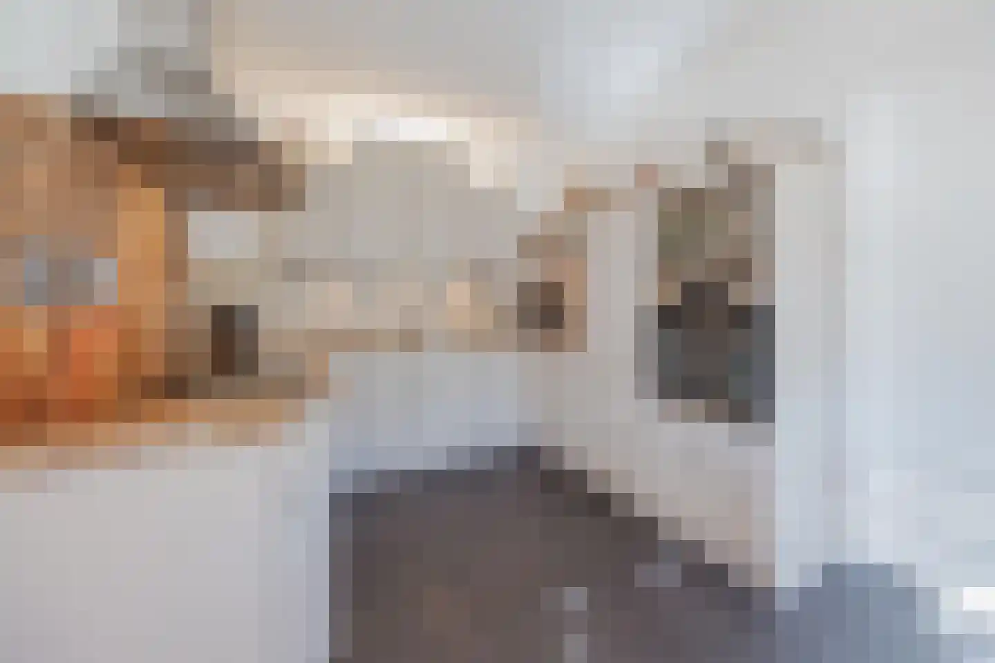 Antoon Coolenstraat 8 Raamsdonksveer thumbnail 5