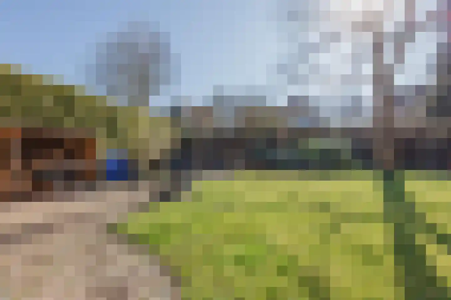 Antoon Coolenstraat 8 Raamsdonksveer thumbnail 52
