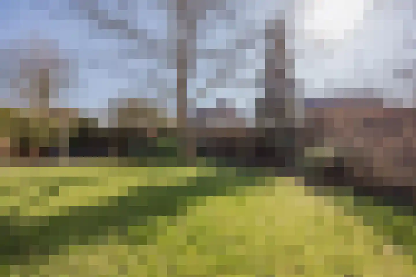 Antoon Coolenstraat 8 Raamsdonksveer thumbnail 57