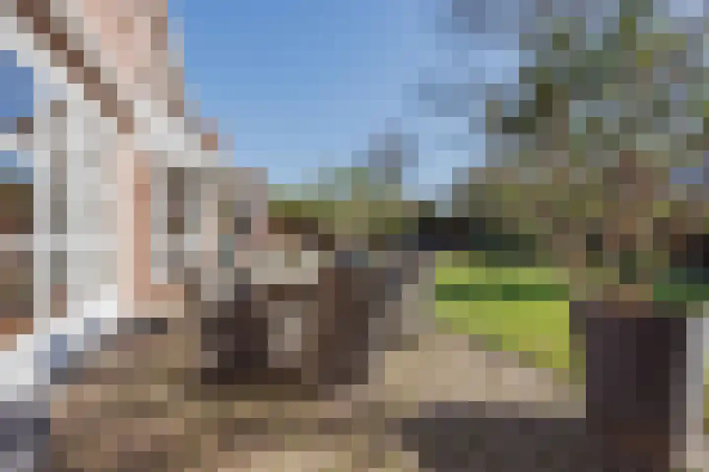 Antoon Coolenstraat 8 Raamsdonksveer thumbnail 59
