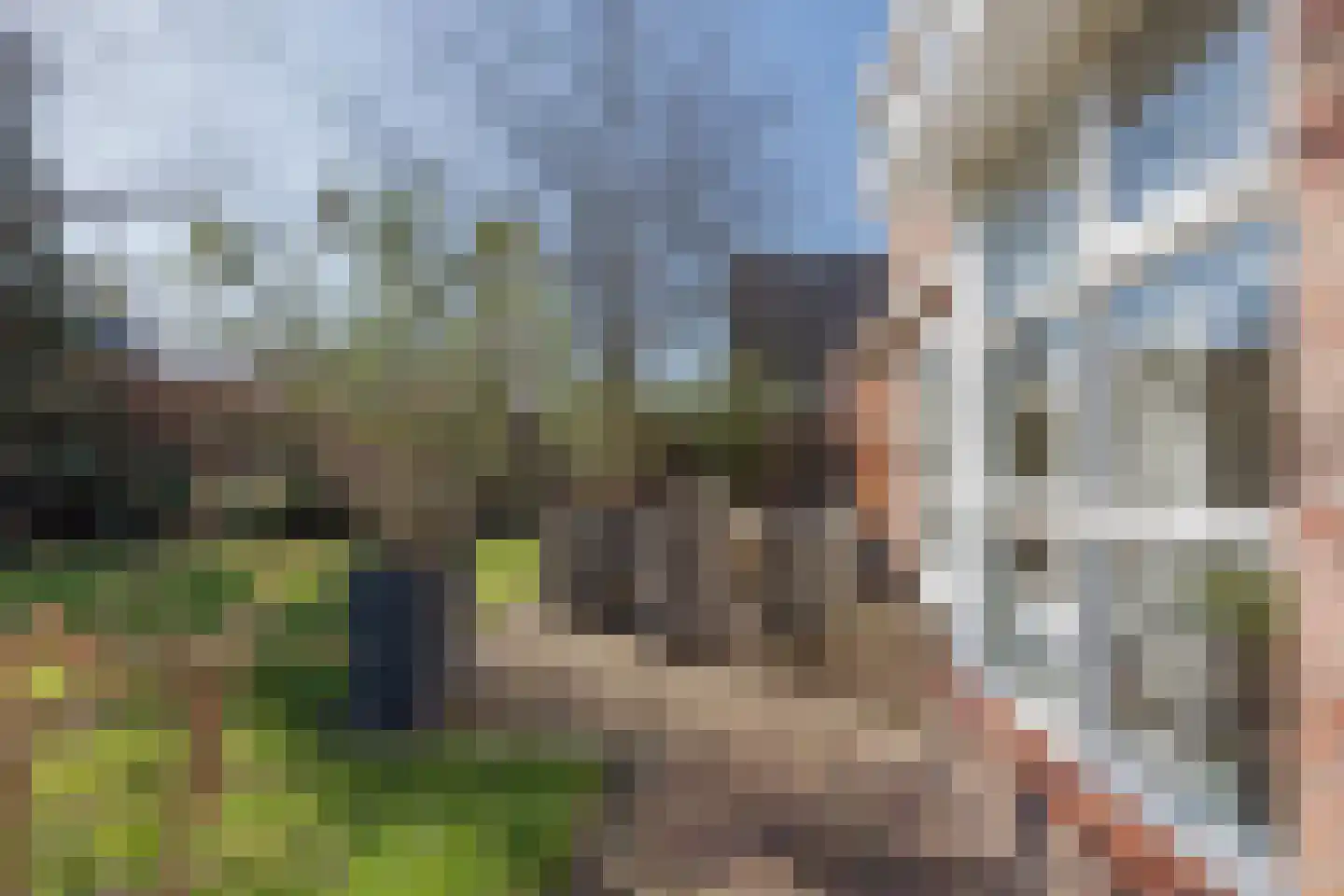 Antoon Coolenstraat 8 Raamsdonksveer thumbnail 60