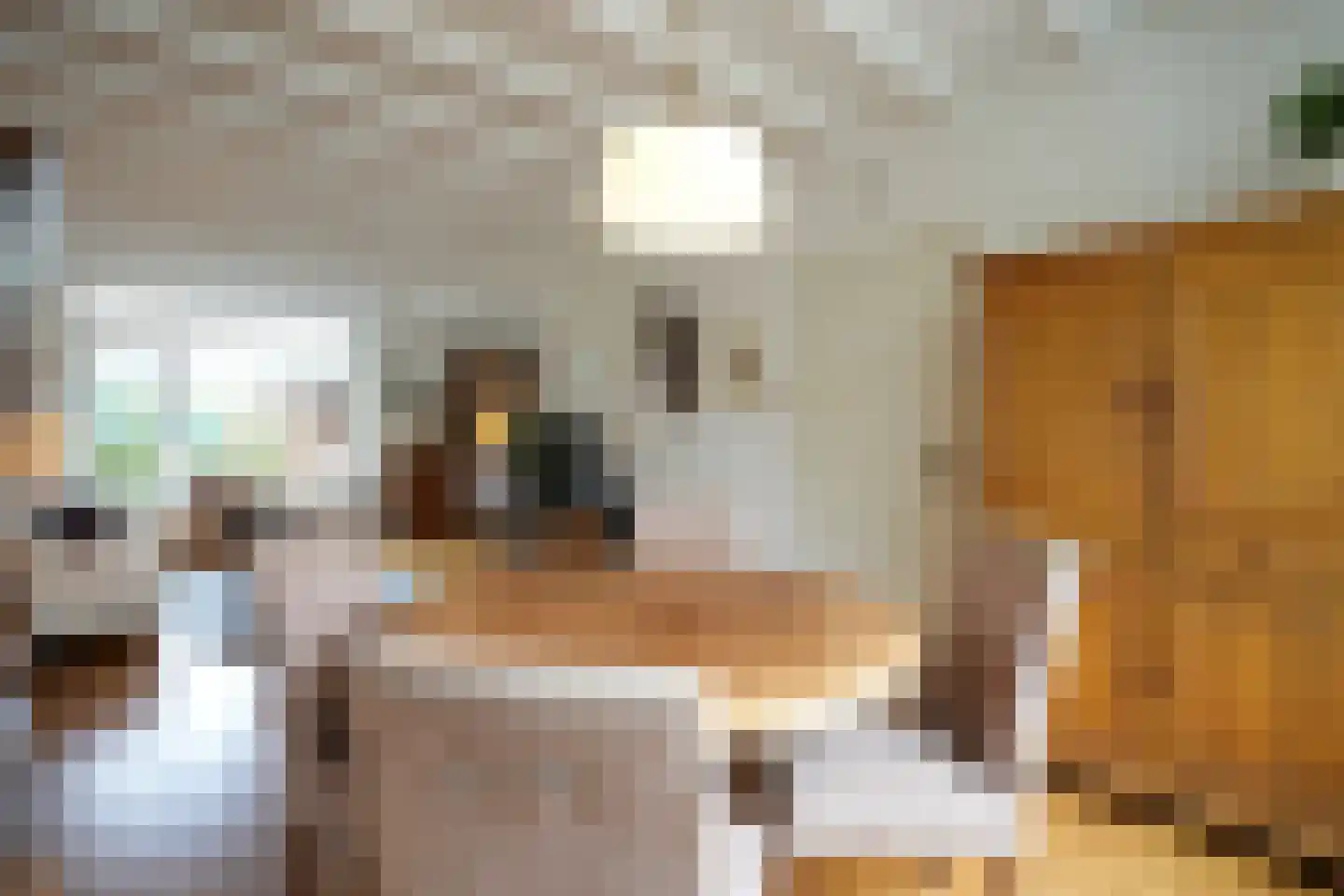 Antoon Coolenstraat 9 Wijlre thumbnail 7