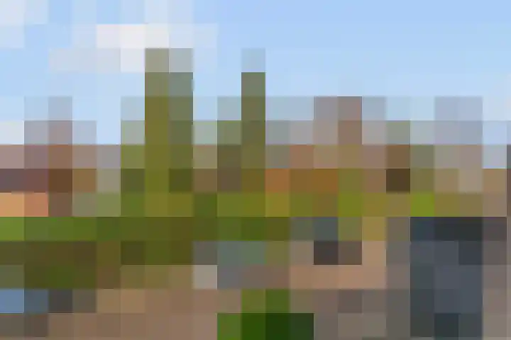 Antoon Markusstraat 41 Renkum thumbnail 26