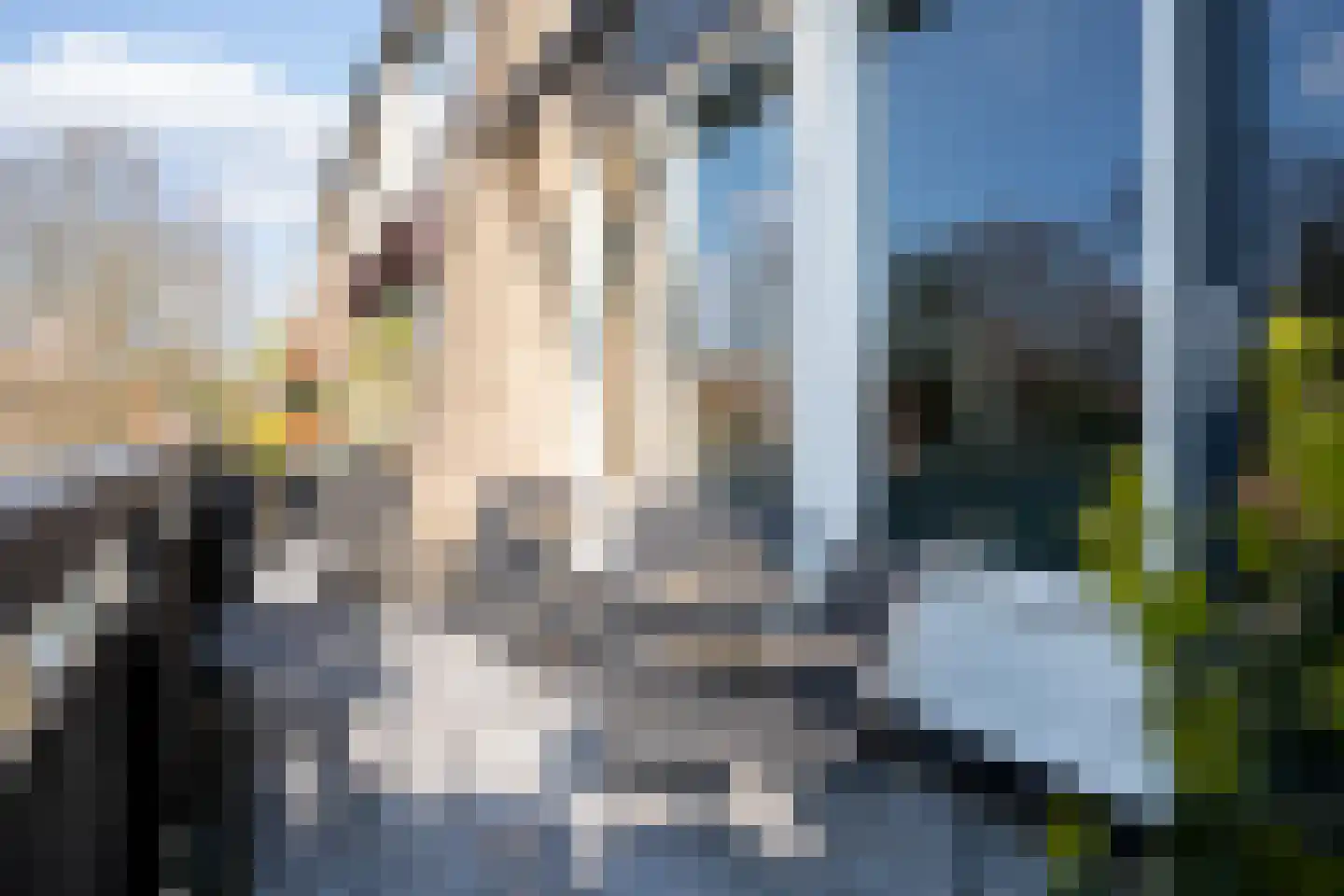 Antoon Markusstraat 47 Renkum thumbnail 11