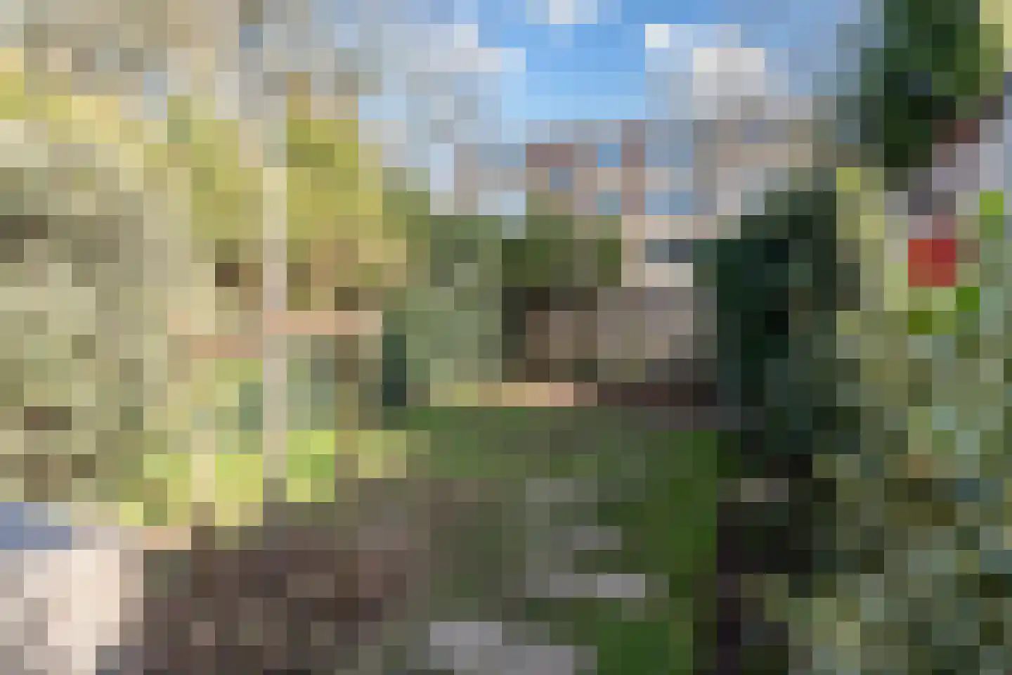 Antoon Markusstraat 47 Renkum thumbnail 32