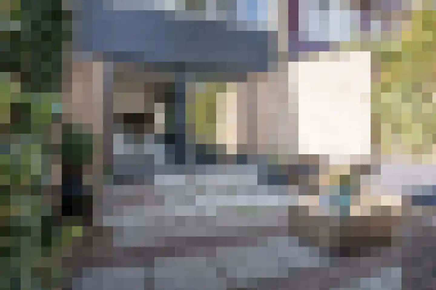 Antoon Markusstraat 47 Renkum thumbnail 33