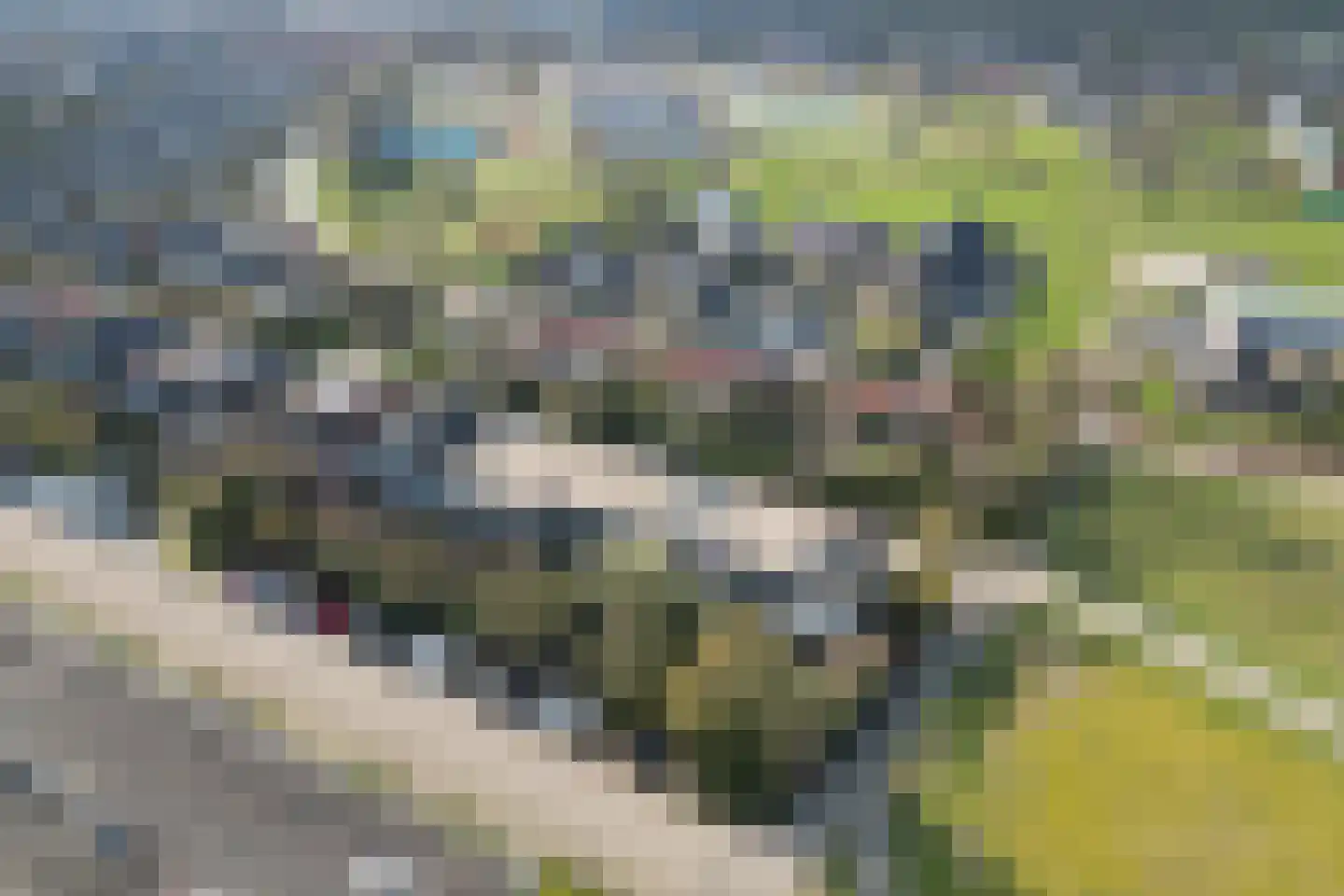 Antoon Markusstraat 47 Renkum thumbnail 36