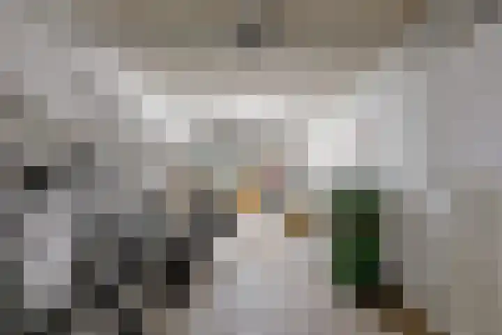 Antoon Markusstraat 9 Renkum thumbnail 26