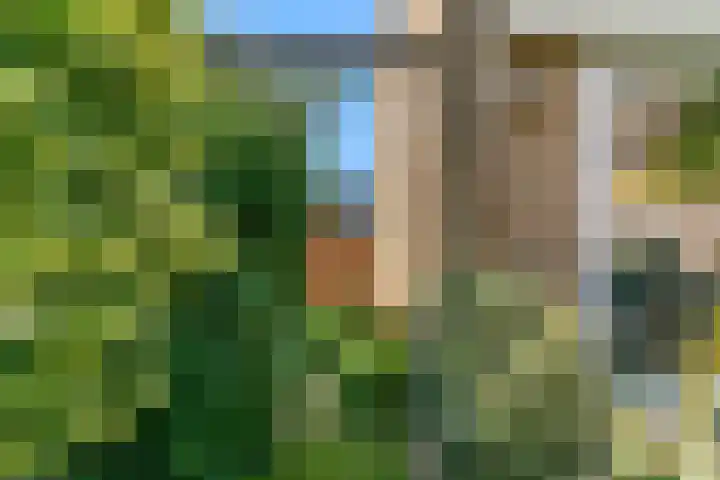 Antoon Markusstraat 9 Renkum thumbnail 31