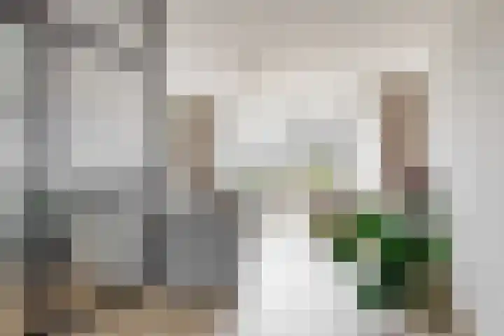 Antoon Markusstraat 9 Renkum thumbnail 6