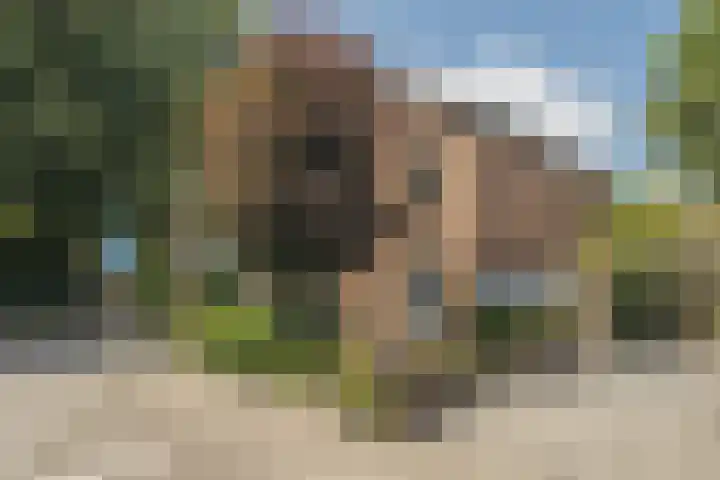 Antoon Slotstraat 18 Lichtenvoorde thumbnail 4