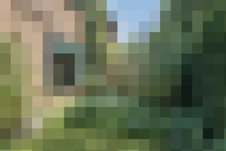 Antoon Slotstraat 18 Lichtenvoorde thumbnail 58