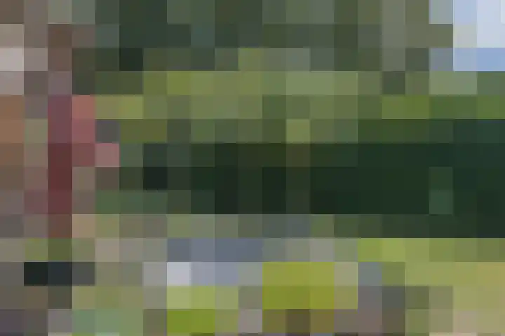 Antoon Slotstraat 18 Lichtenvoorde thumbnail 59