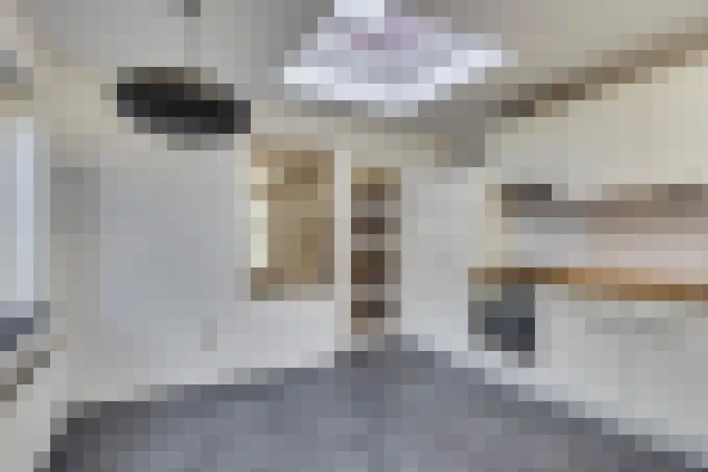 Antoon van de Venstraat 14 Son en Breugel thumbnail 20
