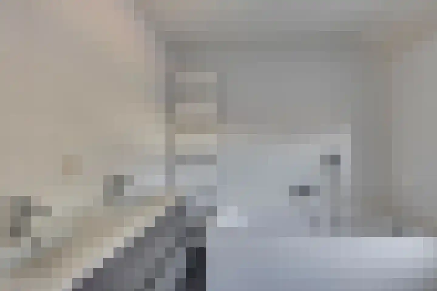 Antoon van de Venstraat 14 Son en Breugel thumbnail 34