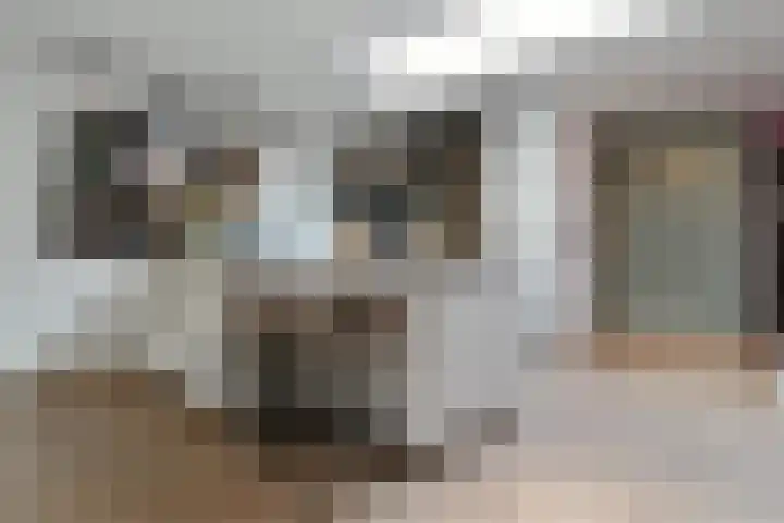 Antoon van de Venstraat 30 Son en Breugel thumbnail 10