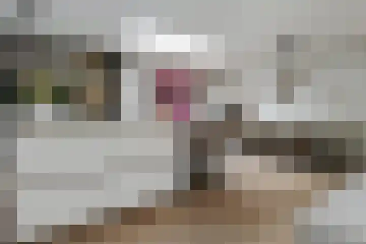 Antoon van de Venstraat 30 Son en Breugel thumbnail 11