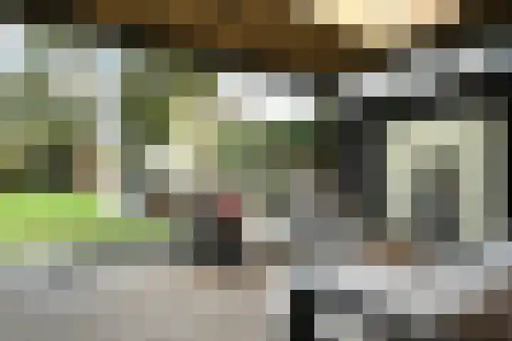 Antoon van de Venstraat 30 Son en Breugel thumbnail 15