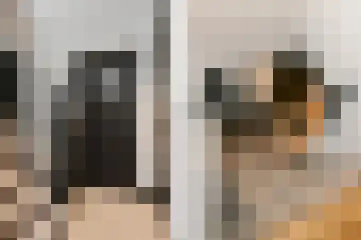 Antoon van de Venstraat 30 Son en Breugel thumbnail 20