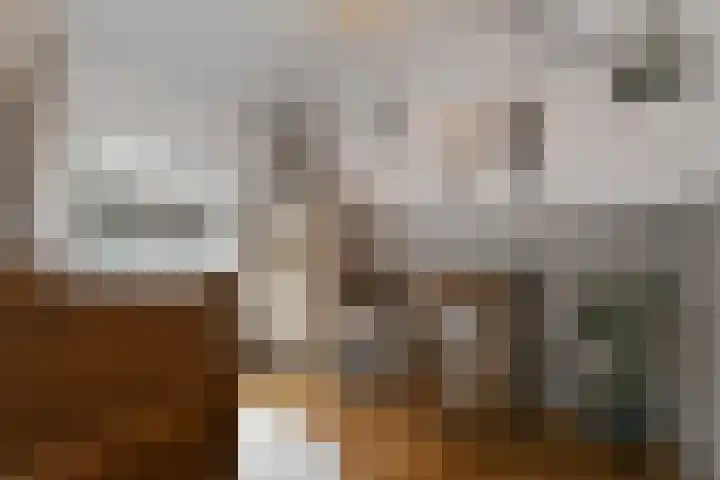 Antoon van de Venstraat 30 Son en Breugel thumbnail 21