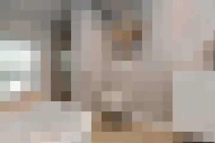 Antoon van de Venstraat 30 Son en Breugel thumbnail 25