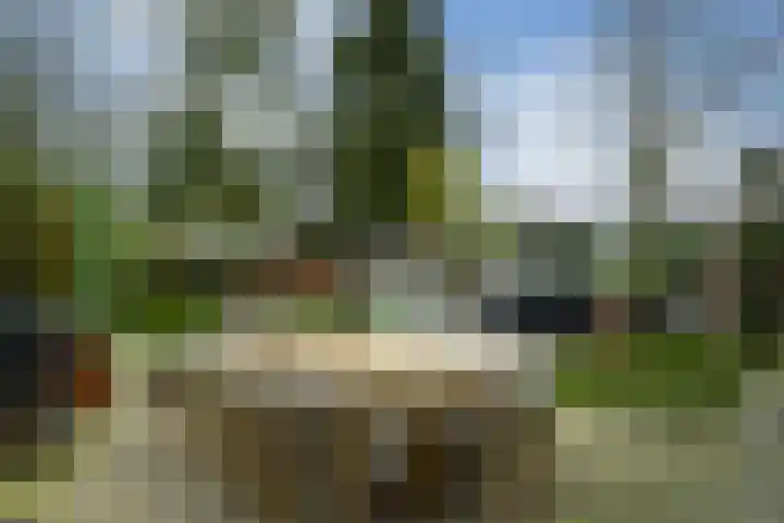Antoon van de Venstraat 30 Son en Breugel thumbnail 29