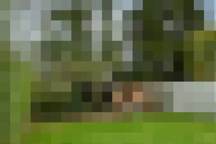 Antoon van de Venstraat 30 Son en Breugel thumbnail 31