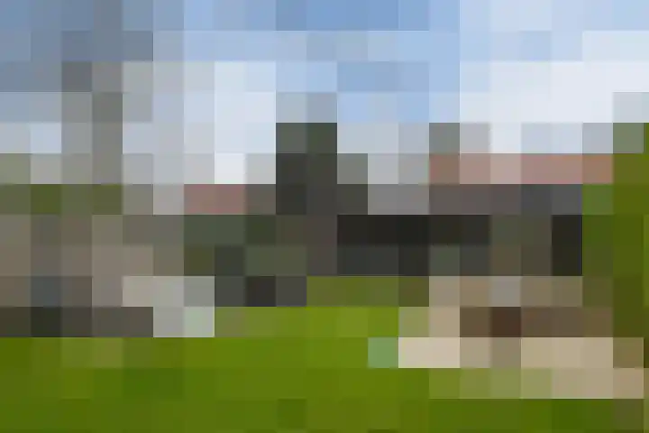 Antoon van de Venstraat 30 Son en Breugel thumbnail 33