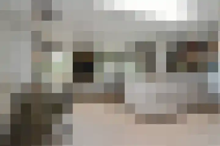 Antoon van de Venstraat 30 Son en Breugel thumbnail 8