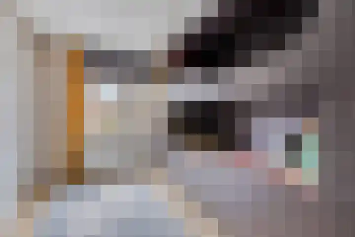 Antoon van Weliestraat 1 Vught thumbnail 24