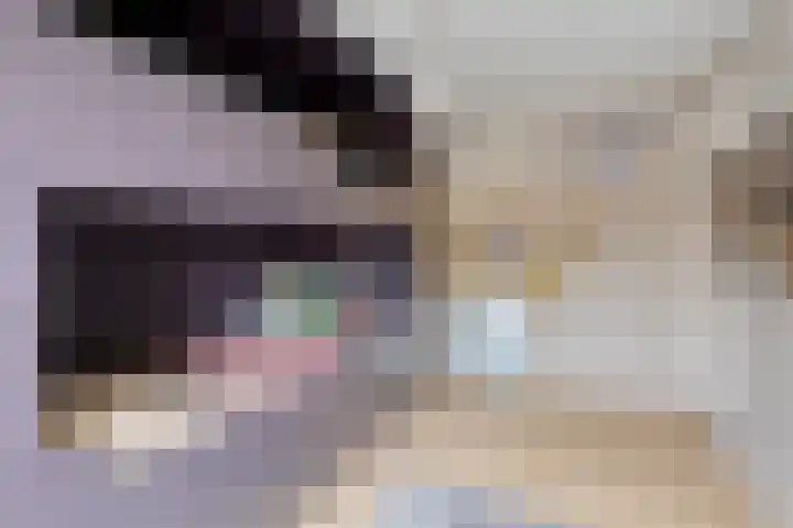 Antoon van Weliestraat 1 Vught thumbnail 25