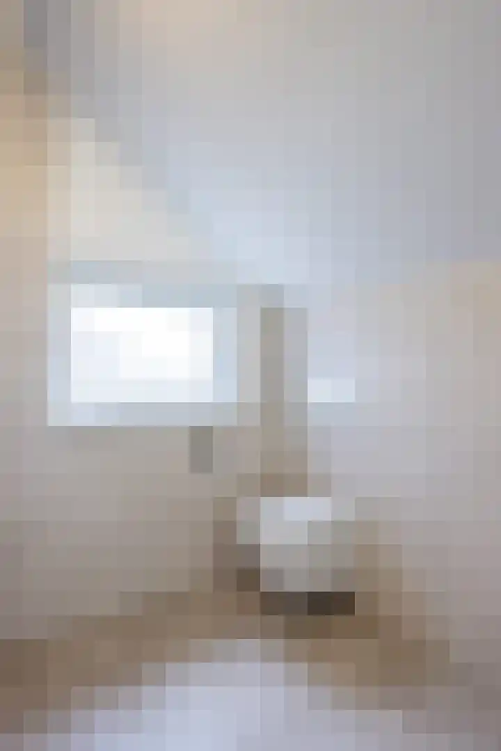 Antracietstraat 2 Geleen thumbnail 28