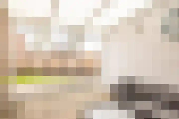Antracietstraat 2 Geleen thumbnail 34