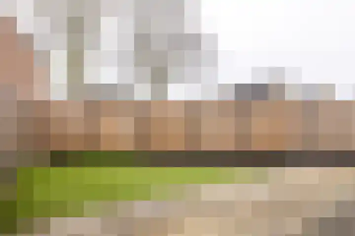 Antracietstraat 2 Geleen thumbnail 35