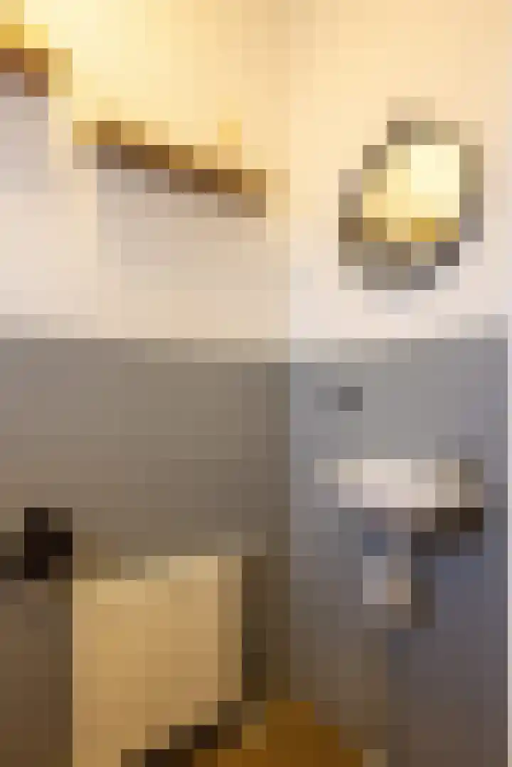 Antracietstraat 2 Geleen thumbnail 8