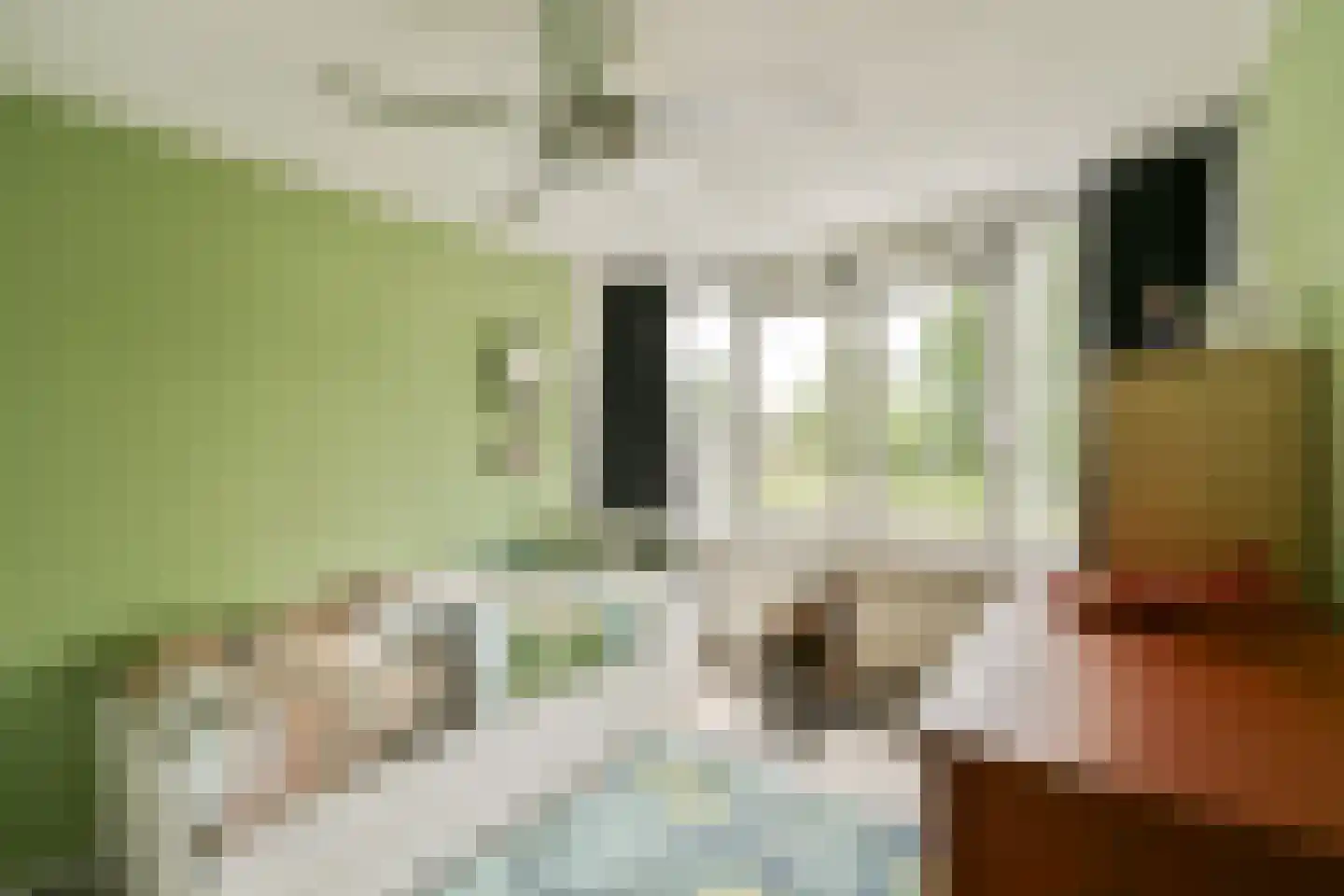 Antwerpenbaan 66 Amsterdam thumbnail 15