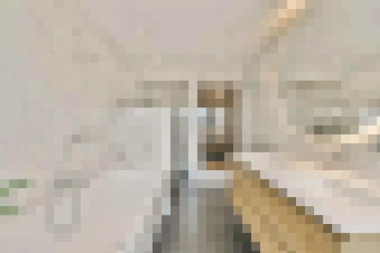 Antwerpenbaan 66 Amsterdam thumbnail 21