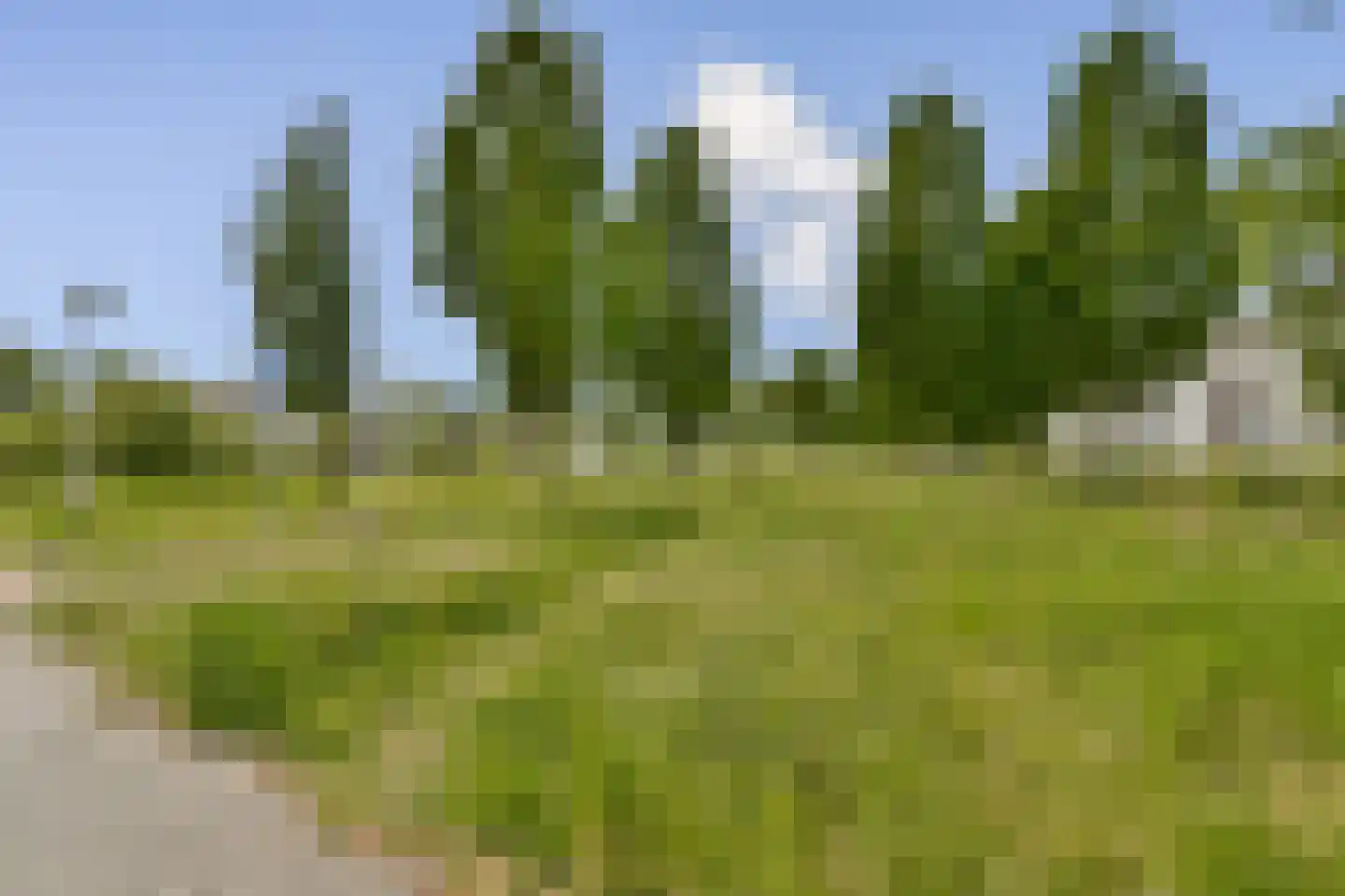 Antwerpenbaan 66 Amsterdam thumbnail 28