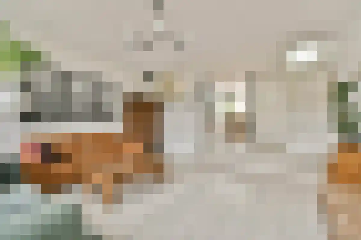 Antwerpenbaan 66 Amsterdam thumbnail 4