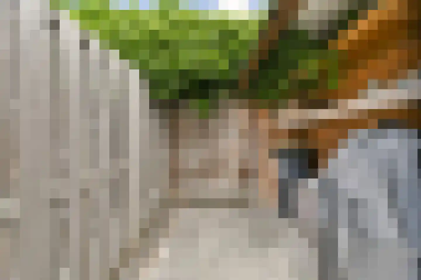 Antwerpenbaan 66 Amsterdam thumbnail 9